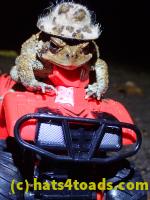 /home//u458753944/public_html/sourcegallery/////////////////////////////////////McKaig Nature Center/2020-10-11/PA110709.JPG